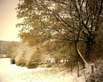 Winter in den Ardennen