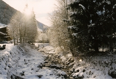 Winter im Alpbachtal