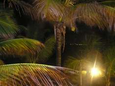 eine Nacht unter den Palmen Mauritius