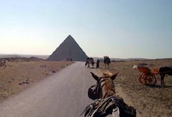 Ägypten, Nordafrika