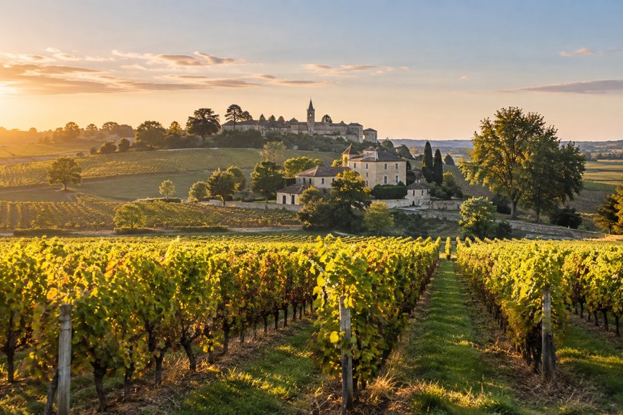 KI-generierte Illustration einer Weinlandschaft mit Reben und Dorf