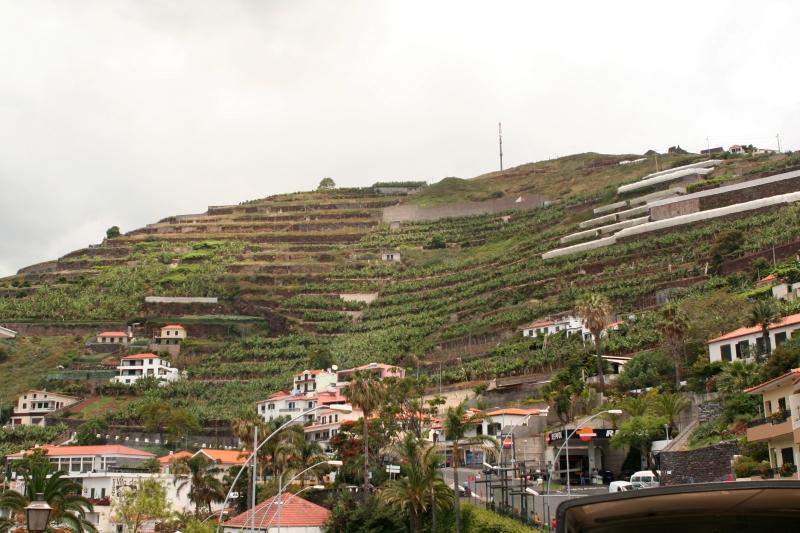 Madeira (c) Dago