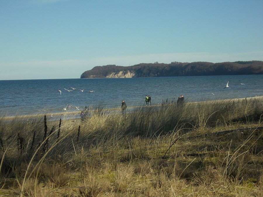 Strand mit Dünen, Meer und Spaziergängern