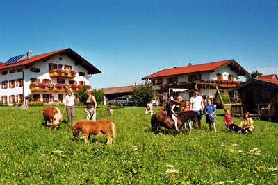 Ortnerhof, Traunstein